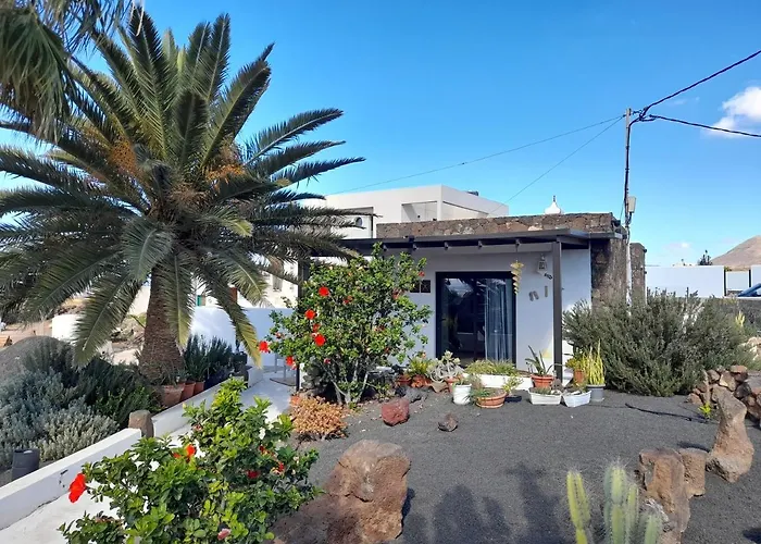 Apartamento Con Terraza Y Jardin